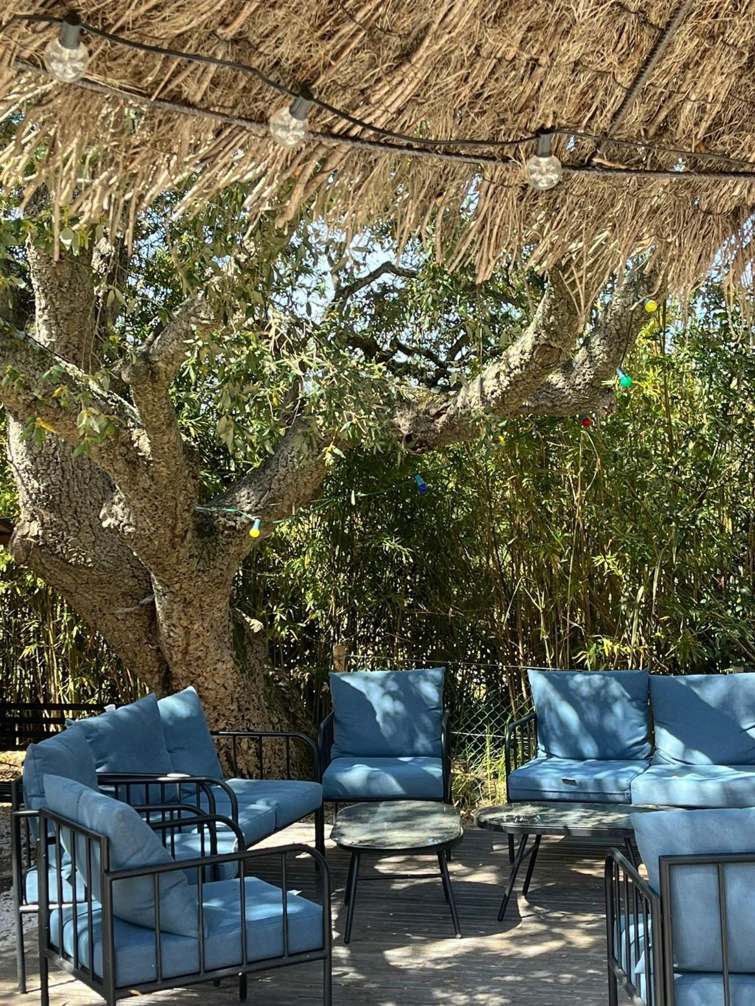 Lou Riou Village Vacances Saint-Tropez Kültér fotó